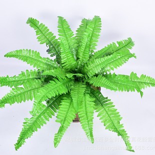 18 heads of big fern, big Persian green simulation, large leaves plant handle simulation flower wedding road derivation and decoration