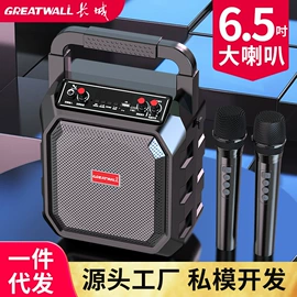 蓝牙音箱;视频机;麦克风/话筒