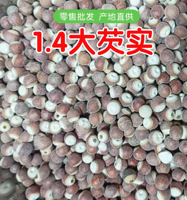 Dried Euryale Ferox Seeds Qian Shi 500g Chinese Herbal Food Grain overview