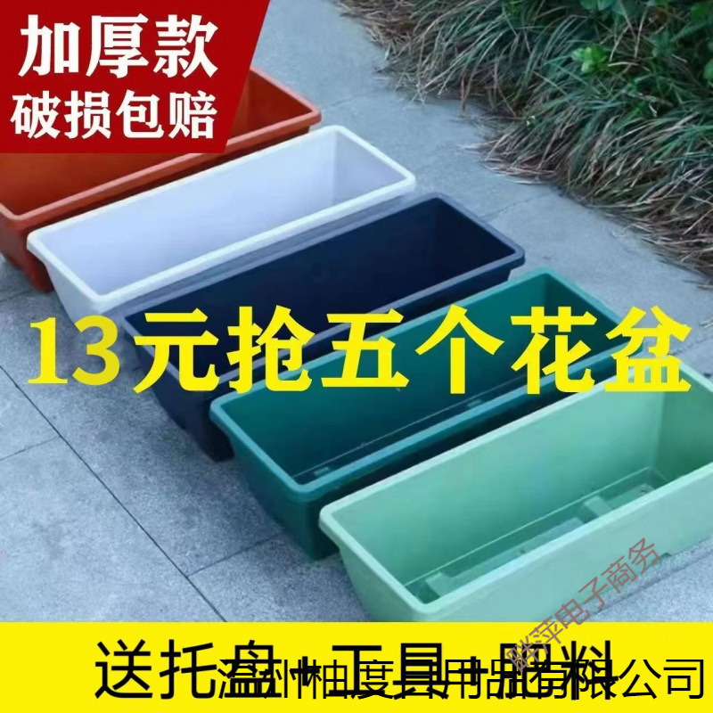 种菜盆盆霍伦盆阳台专用长方形花盆莓蔬菜种植箱塑料特价清仓
