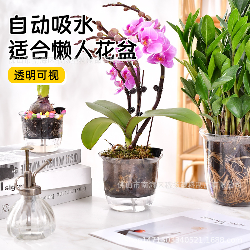 高透明懒人自吸水花盆塑料仿玻璃水培器皿圆形绿萝植物水养花瓶