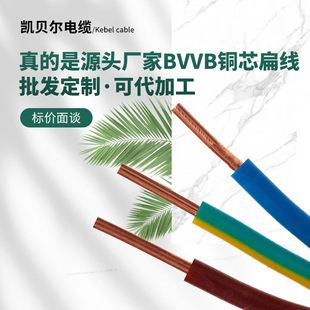 ����BVVB�~о�o�׾�2 3о1.5 2.5 4 6ƽ����늾�����~����|���l