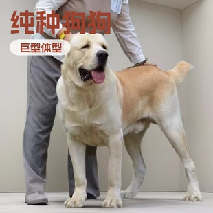 ���l���ƾ����Ё�����Ȯ�o�lȮ���N�����������CȮ������w�C��Ȯ