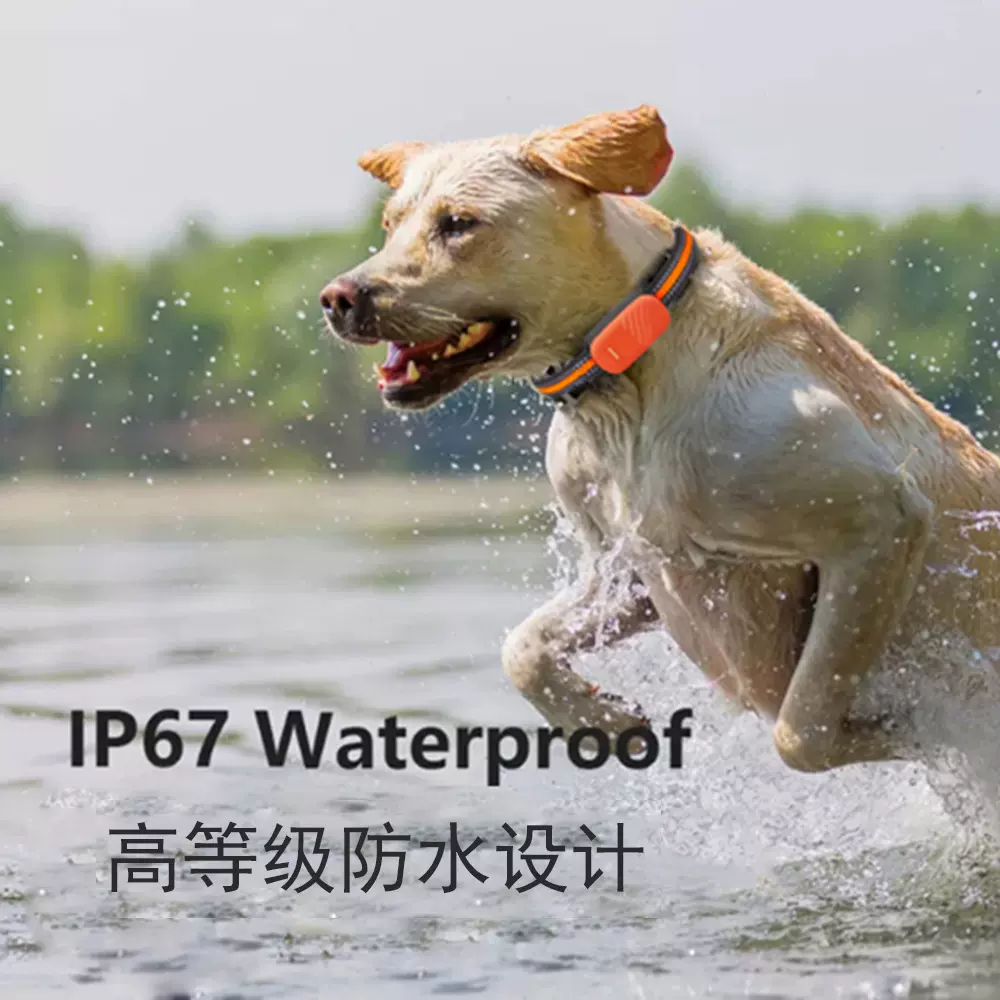 GPS北斗狗猫咪羊定位防丢走失项圈放牧订位器4G宠物定位器智能