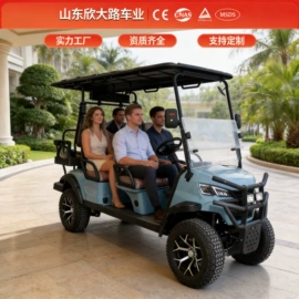 电动观光车;高尔夫球车