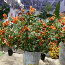 ����Сõ����滨���������ҾӔ[���Ӱ��gܛ�b�Nޱ����c��@�¼�