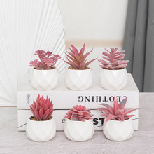 仿真多肉盆栽套装仿真粉色多肉盆栽陶瓷盆盆栽套装家居装饰盆栽