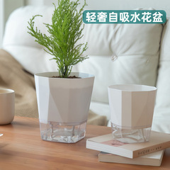 厚いプラスチックの植木鉢は自分で吸水して水をかけないでください。