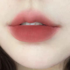 DAIMANPU Heroine Lip Mud Velvet Matte Non-Stick Lipstick Misty Fog Affordable Live Streaming Peach Lip Glaze