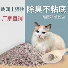 通用猫砂20斤除臭低尘大颗粒批发价猫沙40斤装猫咪用品大全