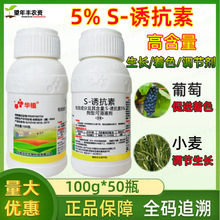 �Aֲ5%s-�T����ֲ���{������ȻÓ��������߲˿��濹��������}�|