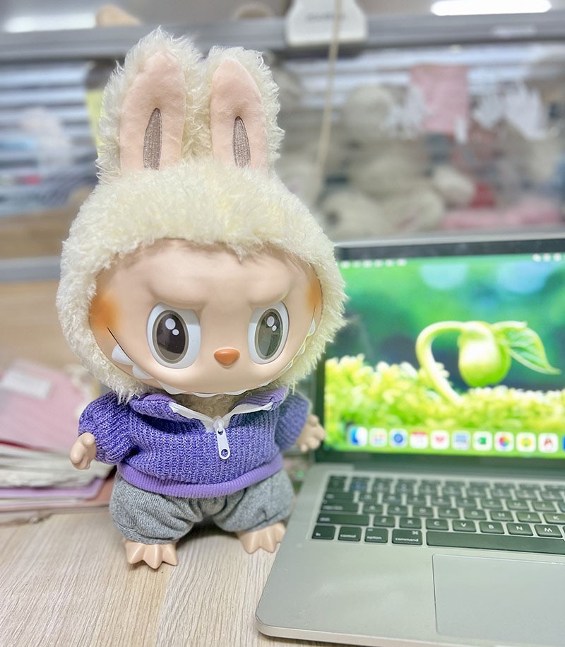 보라색 니트 스웨트셔츠 + 바지