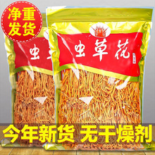 ���o������x�ݻ���؛���r�r�ҽ�Ӽ���x�ݹ������^�Ҝ�ʳ�ğ��u