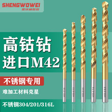 �M��M4�����^2���P䓌�����^�⁺��8%��^���P�304������^