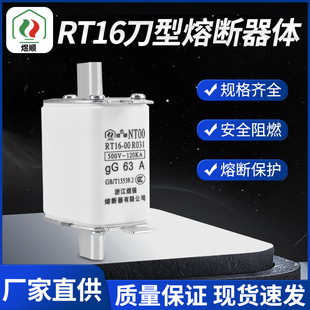 Yuqiang Fuse Nt00Rt16-00160A Low-Voltage Fuse Core Ceramic Fuse Protection
