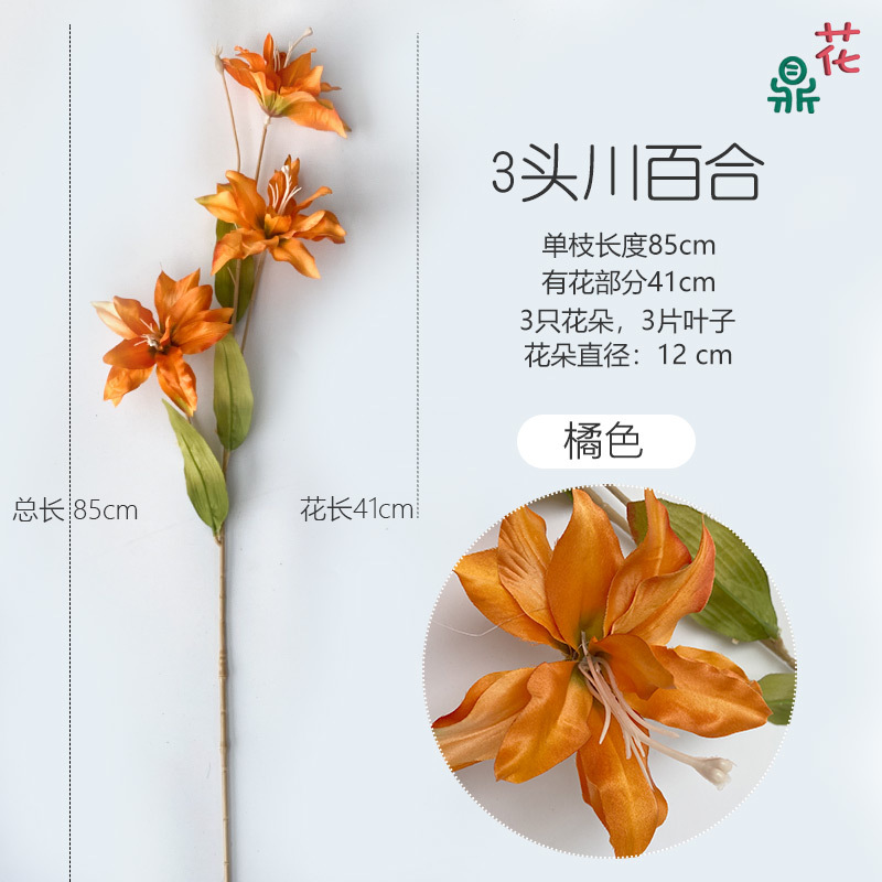 3 헤드 사천 릴리 오렌지