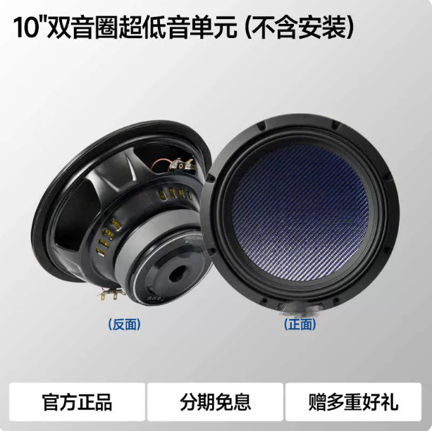 Japan Ev-100Sw3T Woofer 10inch Active Dual Voice Coil Subwoofer High Power Street Box Cannon