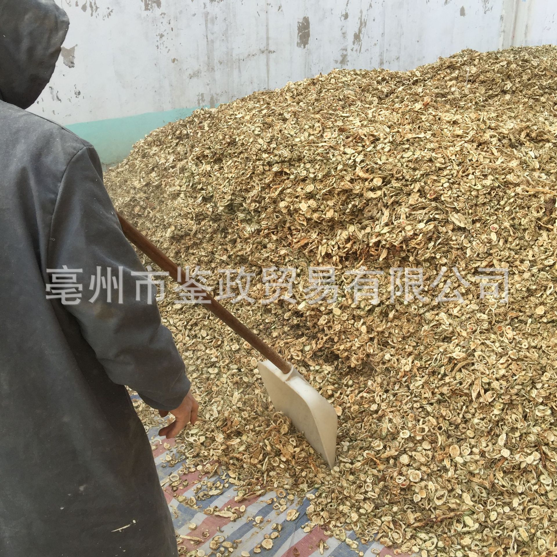 Dried Bitter Melon Slices Ku Gua Bulk Herbal Tea Ingredient Sun Dried 500g in use
