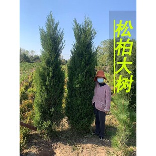�ɰؘ������ؘ�����u�A���ɘ䌚���ɴ��������h�ʘ����ļ�����