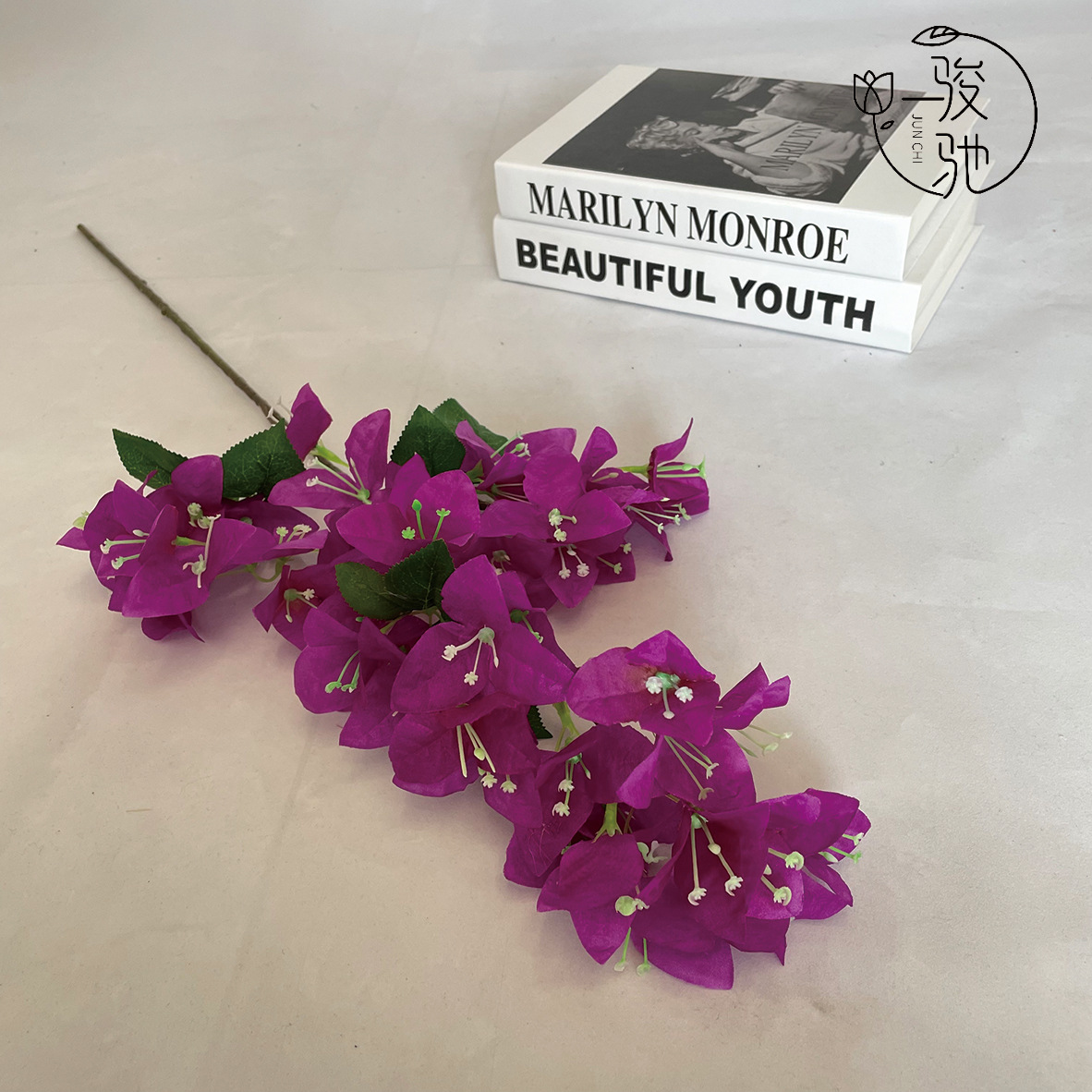 부겐빌레아 퍼플