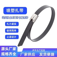 ��ɫ����304���P�4.6mm�������i����100�l���������͸�����