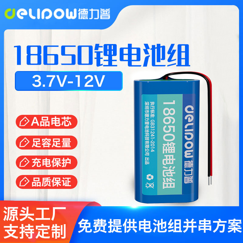 Delip 18650 Lithium Battery Pack Instrument Street Light Monitoring Battery 3.7V/7.4V/12V Lithium Battery Pack
