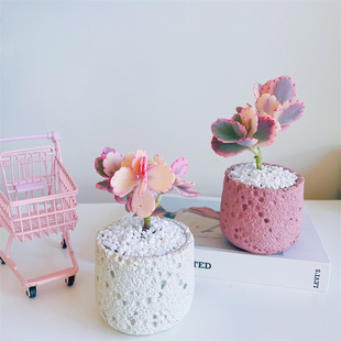 ����֮�����ֲ����R��ɫ���������̨���B���־Gֲ�҃Ȼ�������