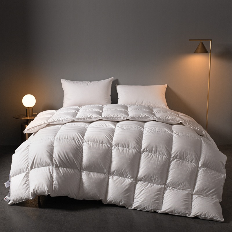 Hilton five-star hotel duvet 95 white goose down Spring and Autumn quilt core winter quilt home summer quilt wholesale