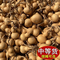 小葫芦一手货源带龙头天然迷你小手捻把玩件地摊文玩供应一件包邮