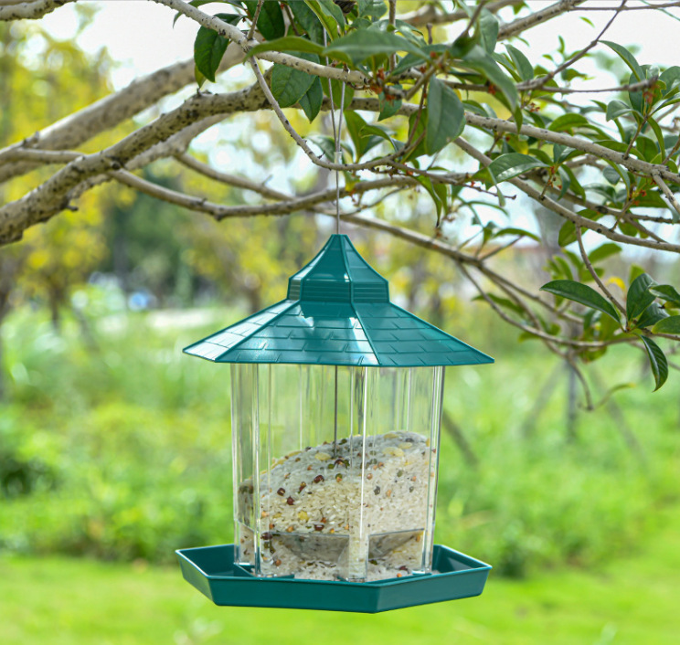 微信截图_20230609094957