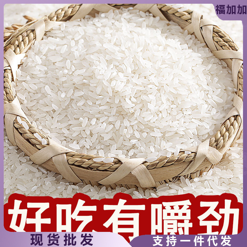 五常大米10斤20农家厂家直销批发|undefined