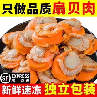 �F����̖��ؐ�⎧�S�r؛Ұ�����r���r�r����ؐ����L�u��ؐ��S