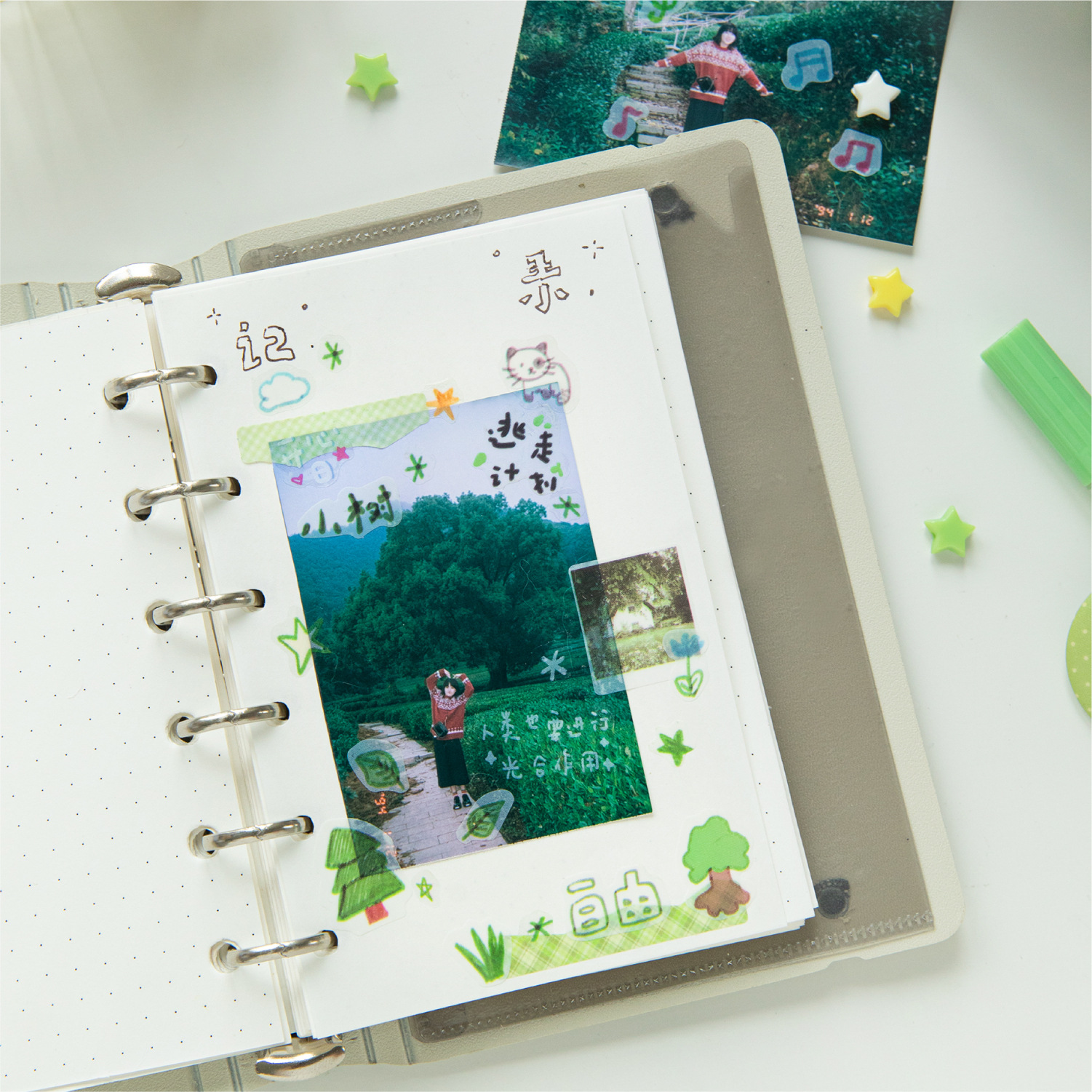 Sugar Poetry PET Cinta troquelada Fragmentos diarios PLOG Linda tira de mano Material de decoración de tarjetas de bricolaje