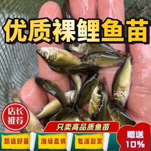 ~[Rw~絭ˮBֳo~ʳ~