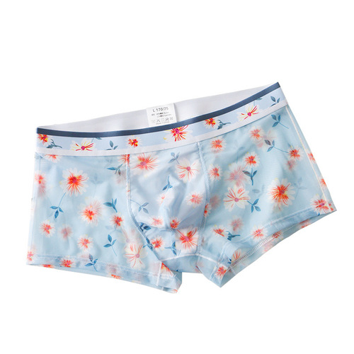Mesh transparent men's underwear sexy breathable flat-bottom pants summer printed square thin lace quick-dry shorts head