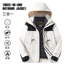 LOGӡ����q�_�h����Ů�������Ᵽů��q��đ�ɲ�ж����һ�ɼ���