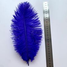鸵鸟毛彩色羽毛25-30cm现货批发婚庆台灯装饰舞台diy材料服装辅料