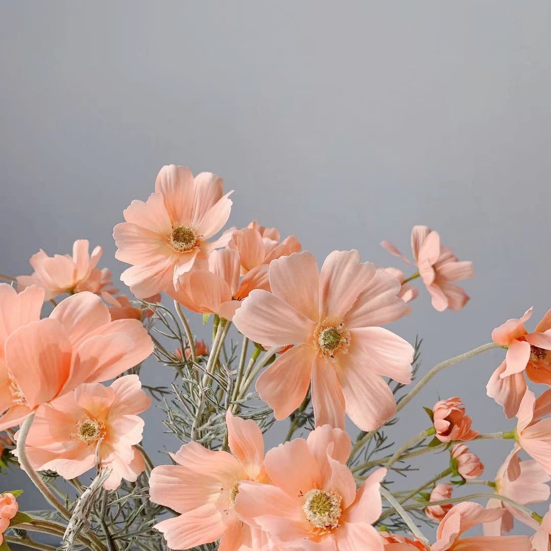 ae2e5df5af01a9b4dd9d4d5ee9f66c