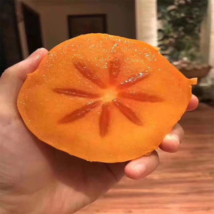 ���޺����Ә���޽Ӵ����ɿ����������ϱ�������ͥԺ���Ԯ���Y��