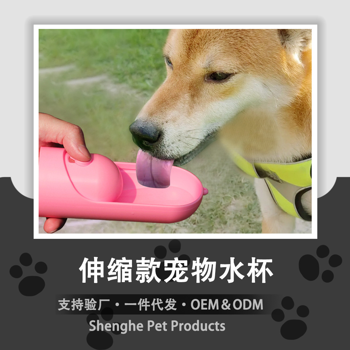 Suministros para mascotas perro portable filtro de carbón activado backflow alta temperatura resistente retractable PET agua taza