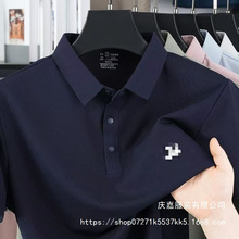 2026��ʿ����T���ļ��¿�ɣ�Q�z�������e�̄հٴ�����POLO�����l