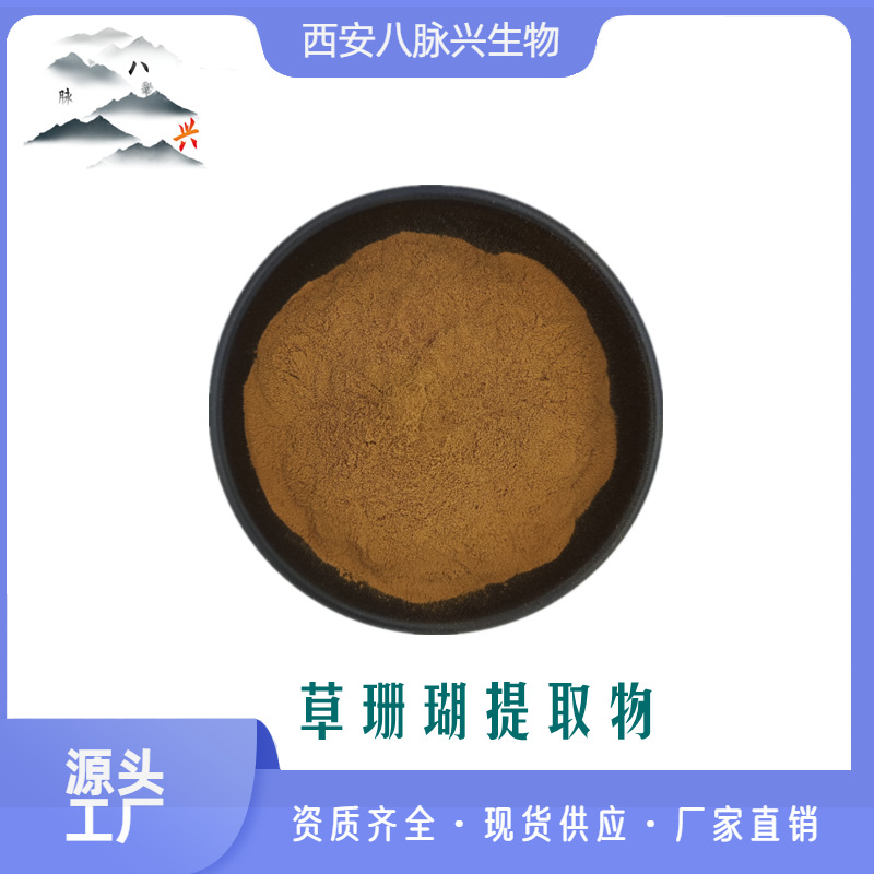 厂家供应 草珊瑚提取物 20:1 草珊瑚根粉 500g/袋 水溶 欢迎咨询