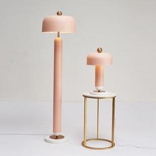 Modern Simple Pink Model Room Exhibition Hall Table Lamp Study Bedroom Children's Room Creative Macaron Living Room Floor Lamp