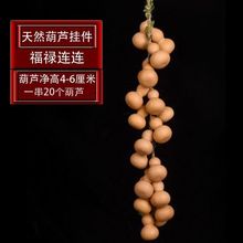 ��Ȼ�T�ں��J����b��T�ҾӒ�͏d�k�����������P�ڒ��b�Ʒ