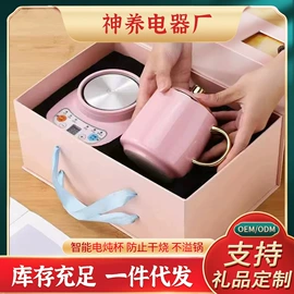 养生壶;电炖锅;电热炉