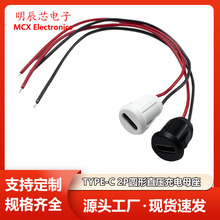 type-c����ĸ��2Pע�zֱ������ʽUSB C�����B������늿�typecĸ��
