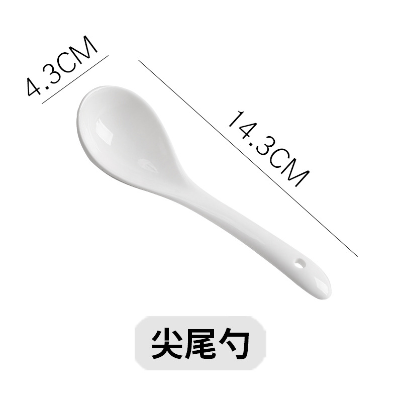 베고니아 스푼