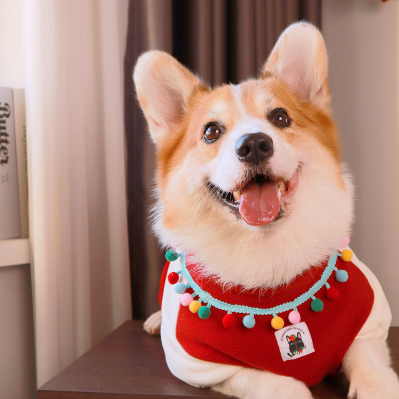 (2개) CORGI SHIBA INU 목가적 인 개 플러스 벨벳 두꺼운 오스트리아 벨벳 티셔츠 애완 동물 옷 플러시 천