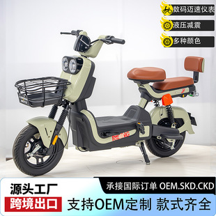 SֱN늄܇Q 48V/60V20AH늄܇Tд