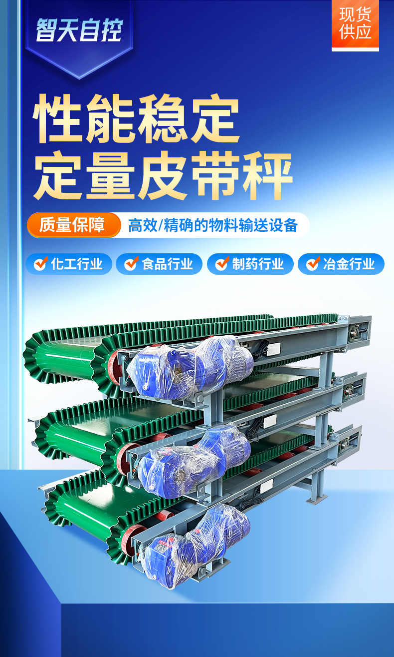 皮带秤详情切片